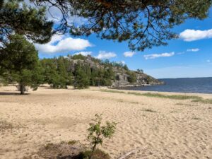 Койонсаари из Санкт-Петербурга
