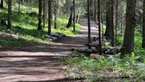 долина водопадов дорожка в лесу