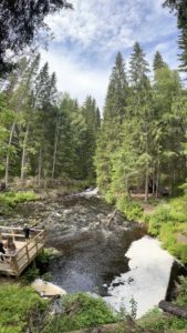 эко парк долина водопадов