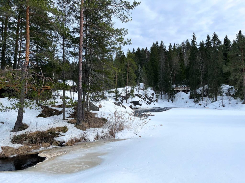 водопад лес