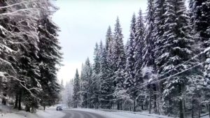 дорога зимой