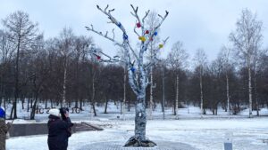 Петрозаводск, дерево желаний
