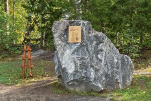 Березовая роща