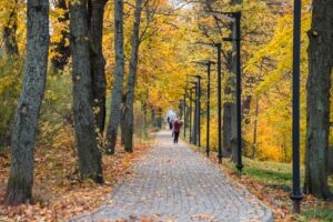 осенняя дорожка в Сортавала