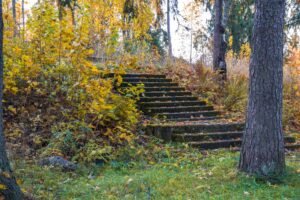 Заброшенные ступеньки в Ваккосалми