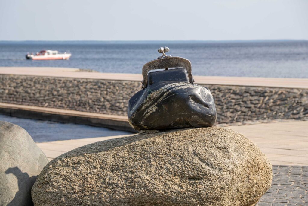 Кошелёк удачи в Петрозаводске