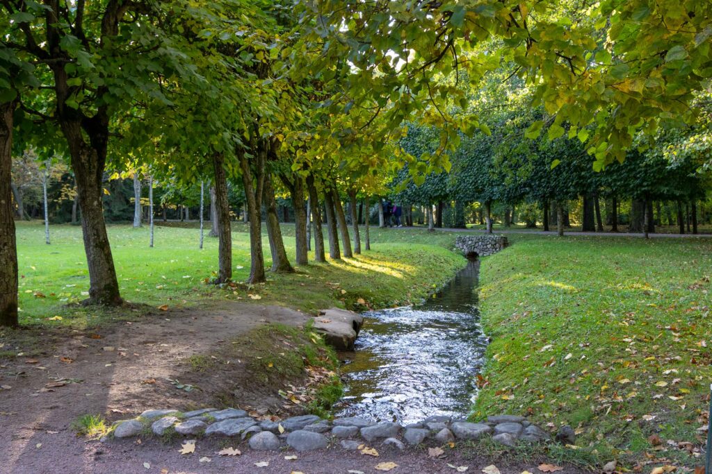 Осенний ручей в аллеях Петергофа