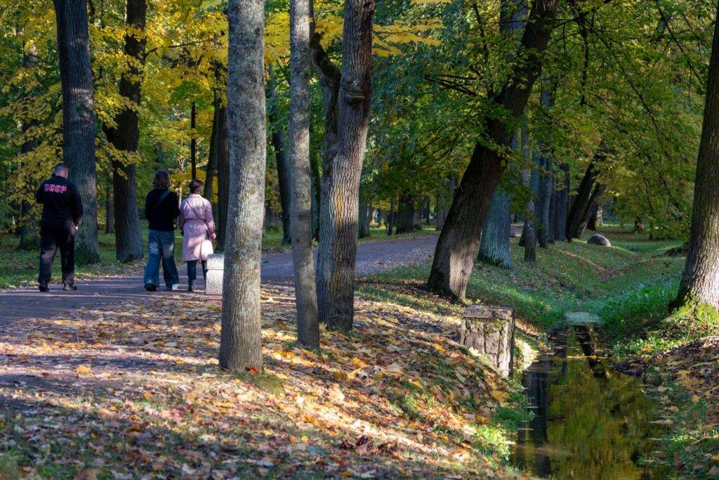 Осенняя прогулка в Петергофе