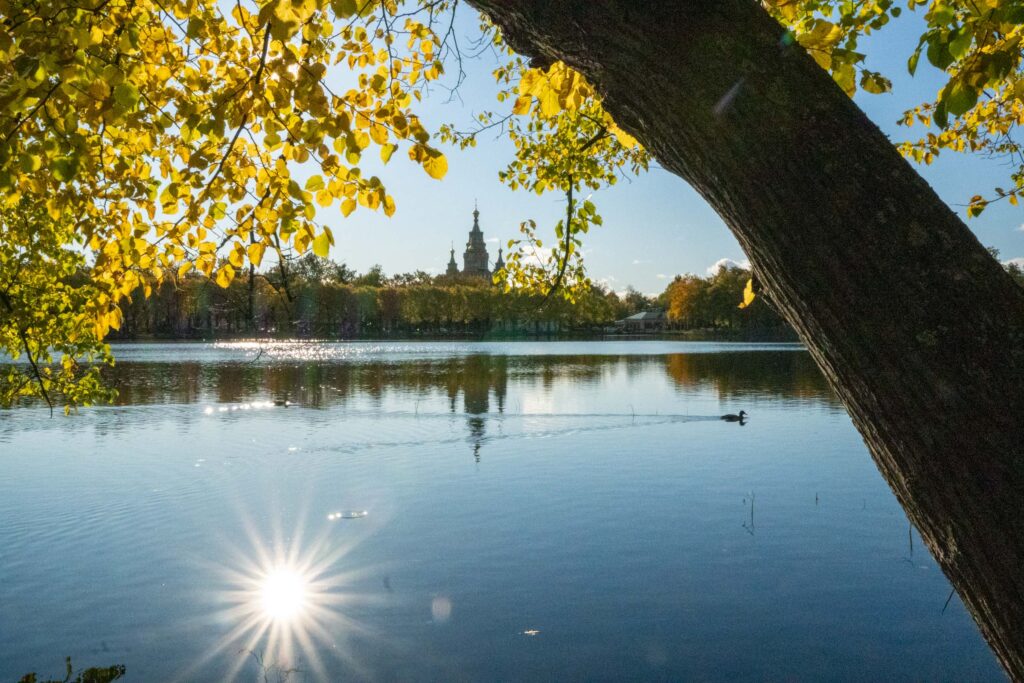 Солнце над водой Петергофа