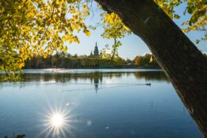 Солнце над водой Петергофа