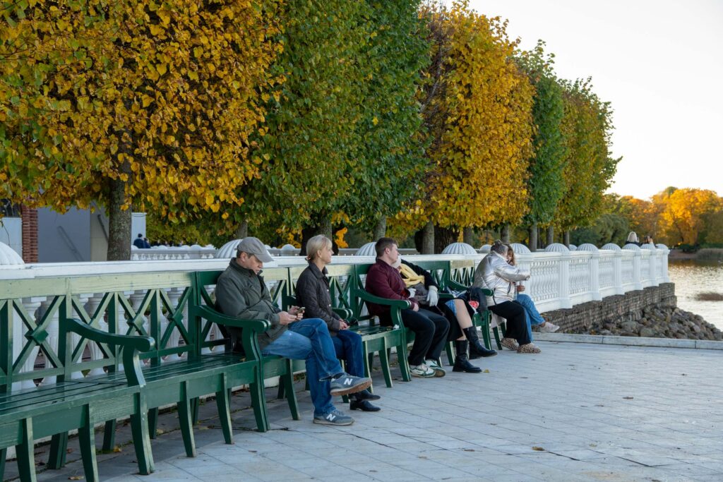 Осенняя скамейка под золотыми деревьями