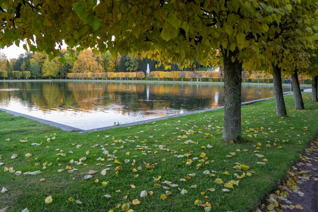 Отражения осени на воде Петергофа