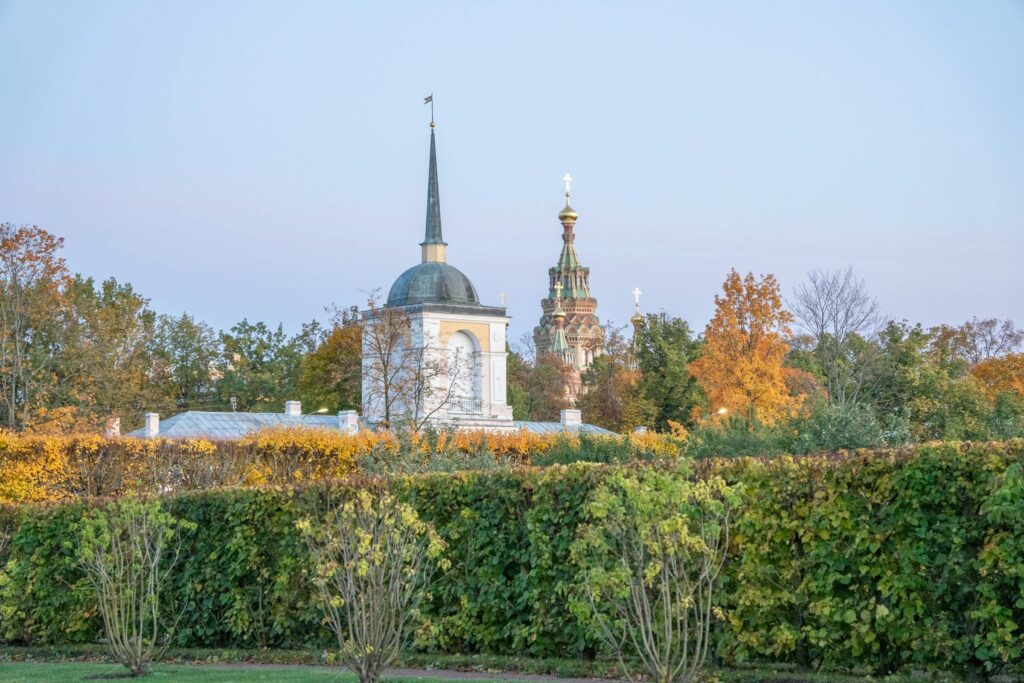 Вид на соборы за живой изгородью
