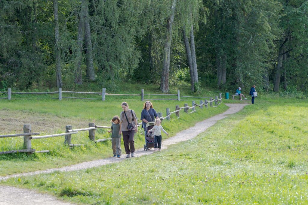 Прогулка по тропе у берёз в Михайловском
