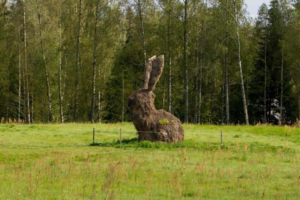Сенная скульптура зайца на лугу, Михайловский
