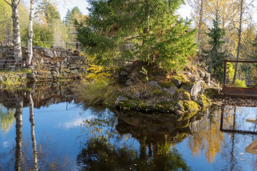 Еловый островок над водопадом Метсямикли, Карелия