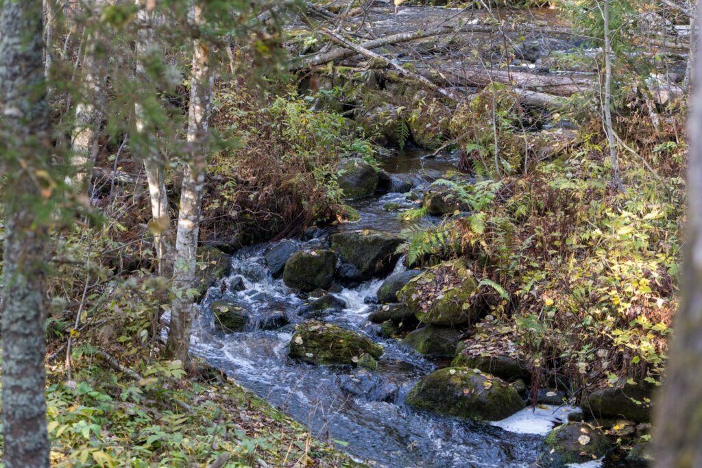 Лесной ручей водопада Метсямикли