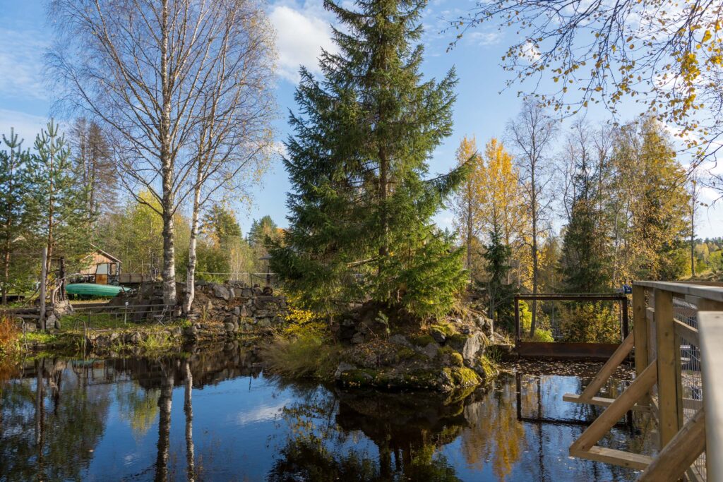 Пруд у смотровой, водопад Метсямикли, золотая осень