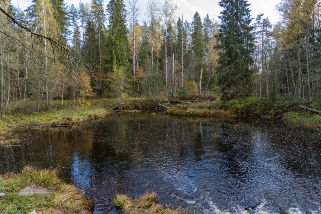 Тихая заводь у водопада Метсямикли