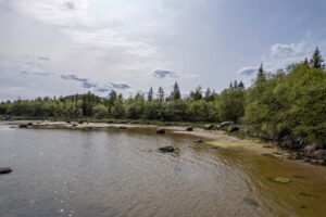 Низкий берег архипелага Кузова, у воды валуны и песок. По линии берега растёт смешанный лес, отражающийся в спокойной воде