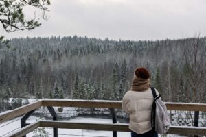 Видовая площадка над каньоном Рускеалы