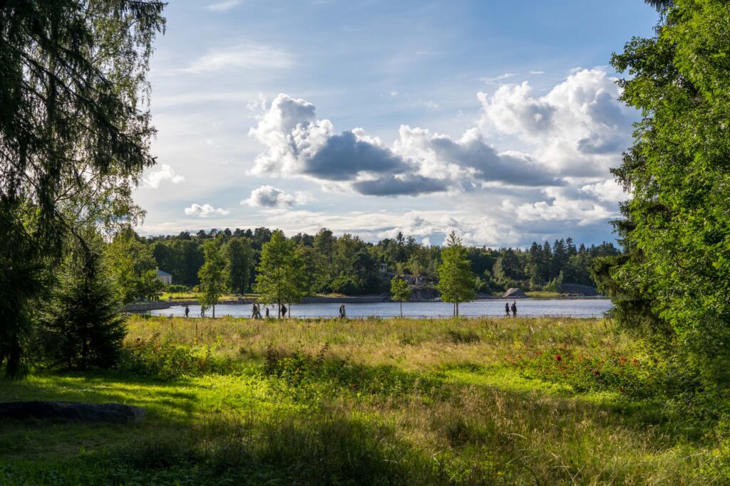 Поляна у воды в парке Монрепо