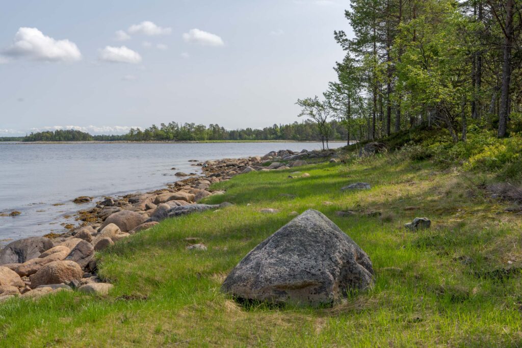 Берег Белого моря на Соловках