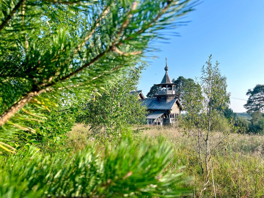 Часовня Маньги среди сосновых ветвей