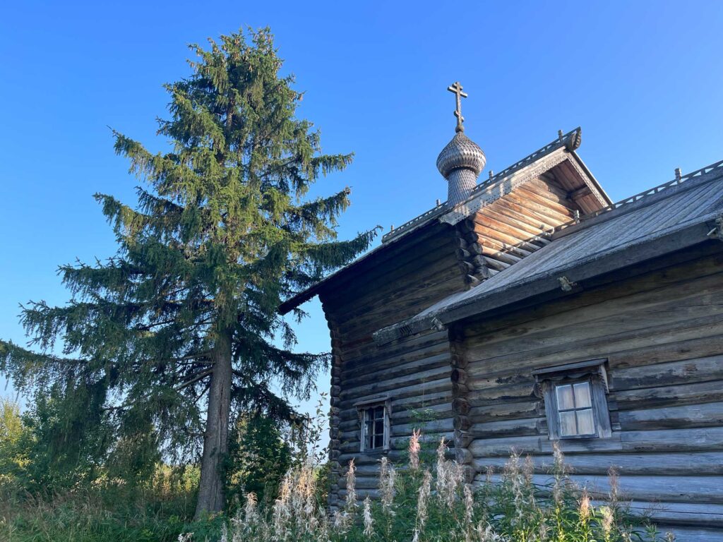 Ель у часовни в Маньге