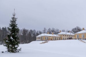 Ель на снежной поляне перед жёлтыми усадебными корпусами Монрепо
