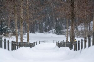 Заснеженная дорожка Монрепо между деревянными столбиками с верёвками